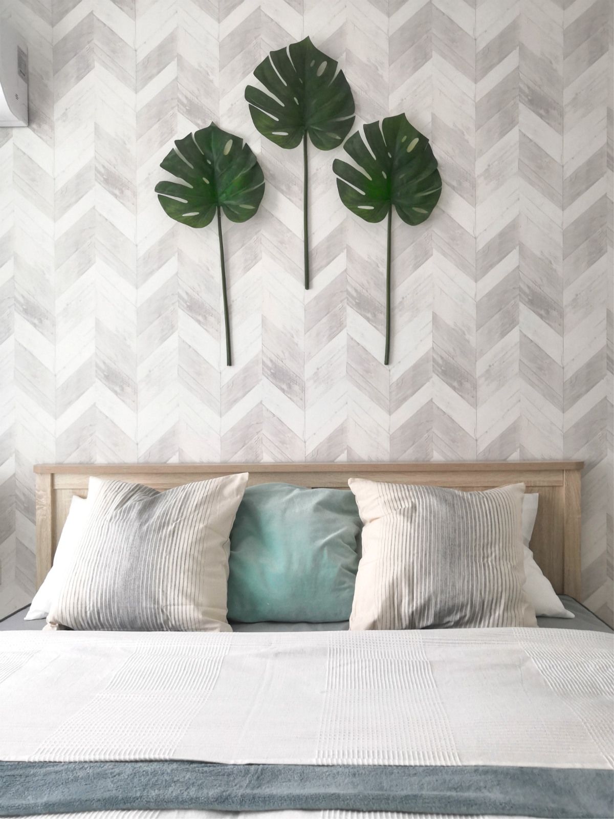 Зима в тропиках (в аренду) 7